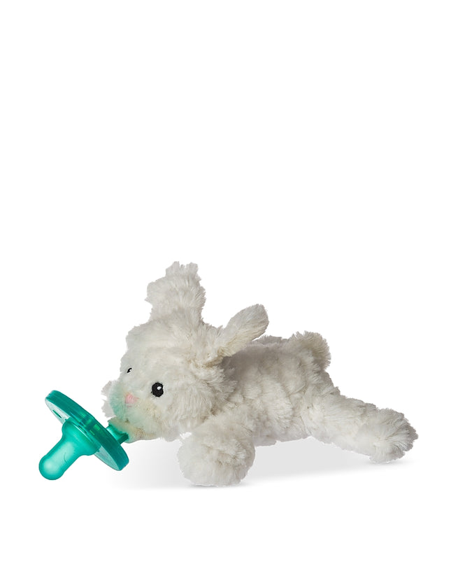 Pacifiers & Accessories