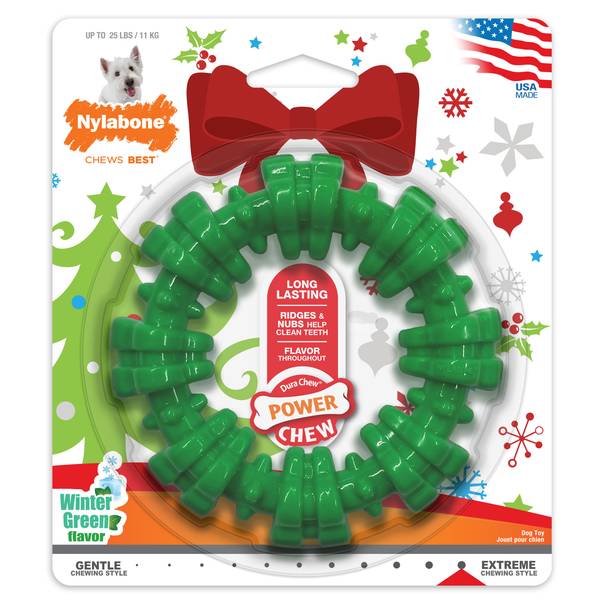Nylabone Textured Ring Power Chew Toy for Dogs, Dog Toys for Aggressive Chewers, Winter Green Flavor, Small - Up to 25 lbs, 1 Count