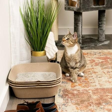 Kitty Sift (6-Pack) Disposable Cat Litter Box, Sustainable, Clean - Large, 6-Pack