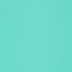 1 Count (Pack of 1) / Amazon Aqua