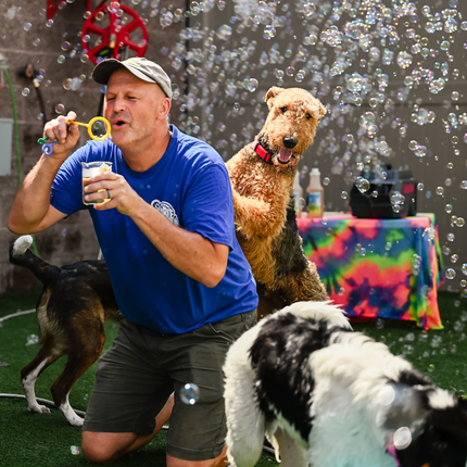 https://cdn.shopify.com/s/files/1/0283/2669/0890/files/3-dogs-playing-with-puppylove-scented-pet-bubbles_7db20101-08a3-4926-af47-69d9272b51f8.png?v=1762442920
