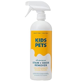 https://m.media-amazon.com/images/I/31DSEdsip+L._UL320_.jpg