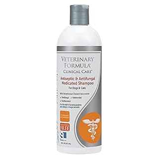 Veterinary Formula Clinical Care Antiseptic and Antifungal Medicated Shampoo for Dogs & Cats, 16 Fl Oz – Helps Alleviate Scaly, Greasy, red Skin – Paraben, Dye, Soap-Free (1 Pack)