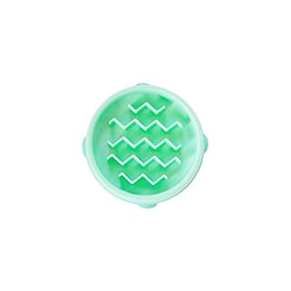 Outward Hound Fun Feeder Slo Bowl, Small Slow Feeder Dog Bowl, 3/4 Cups, Mini, Mint
