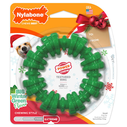 Nylabone Textured Ring Power Chew Toy for Dogs, Dog Toys for Aggressive Chewers, Winter Green Flavor, Small - Up to 25 lbs, 1 Count