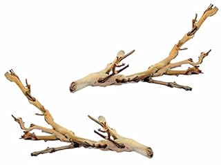 Exo Terra Forest Branch, Small