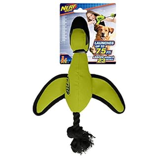 Nerf Dog Trackshot Launching Duck Dog Toy, 16.5 Dog Fetch Toy for Medium and Large Breeds, Green