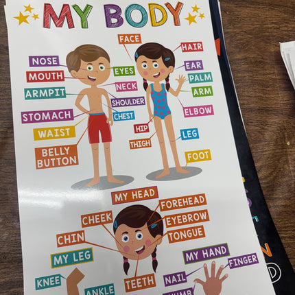 16 Laminated Educational Classroom Posters for Kindergarten and Preschool Learning
