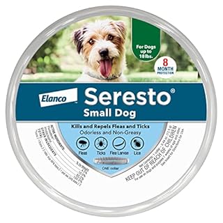 Seresto Small Dog Vet-Recommended Flea & Tick Treatment & Prevention Collar for Dogs Under 18 lbs. | 8 Months Protection
