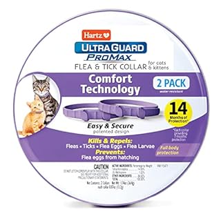 Hartz UltraGuard ProMax Flea & Tick Collar for Cats I 14 Months Protection I Soft & Comfortable | Flea & Tick Prevention I 2 Pack