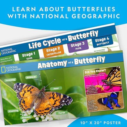 National Geographic Kids Butterfly Growing Kit STEM Educational Science Habitat