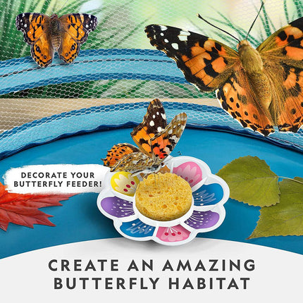 National Geographic Kids Butterfly Growing Kit STEM Educational Science Habitat