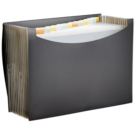 Amazon Basics Expanding Organizer File Folder, Letter Size - Black, 1-Pack