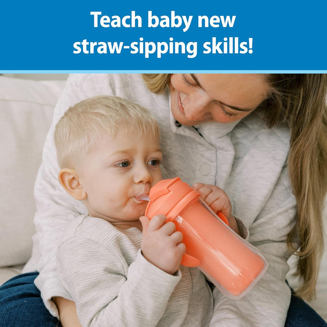 Dr. Brown's Milestones Insulated Sippy Cup With Straw Handles 10oz