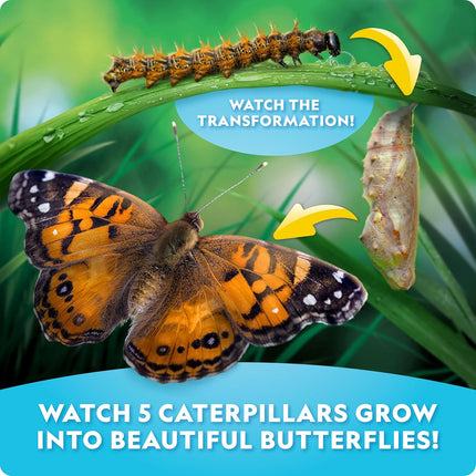 National Geographic Ultimate Butterfly Kit: Grow Live Butterflies, STEM Learning Habitat