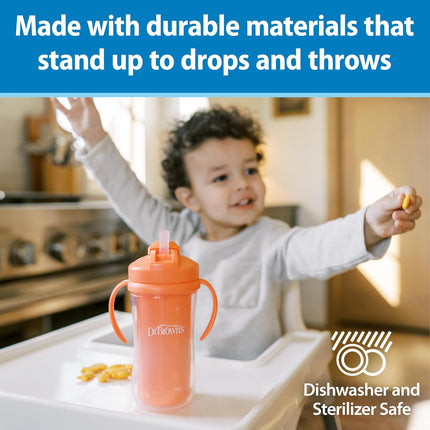Dr. Brown's Milestones Insulated Sippy Cup With Straw Handles 10oz