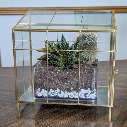 Hearth & Hand with Magnolia Mini Greenhouse Brass