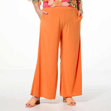 https://i04.hsncdn.com/is/image/HomeShoppingNetwork/rocs1200/antthony-2-piece-mesh-flounce-sleeve-top-and-pull-on-pa-d-2025060315341867~905079_alt5.jpg