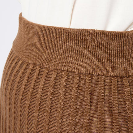https://i02.hsncdn.com/is/image/HomeShoppingNetwork/rocs1200/antthony-pleated-sweater-knit-midi-skirt-d-2025102009265654~913929_alt2.jpg