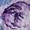 https://i04.hsncdn.com/is/image/HomeShoppingNetwork/swprodsq/lilac-d-20250318182157743~882763_533_ptn.jpg