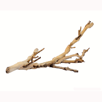 Exo Terra Forest Branch, Small